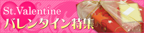 ���ʲ����ޤ��Ҳ𤹤�Х�󥿥���������٥�ȷ������ý�